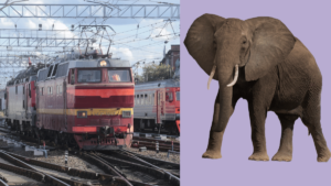railway elephant system